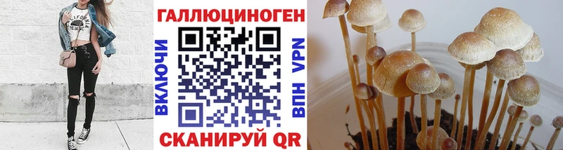 Галлюциногенные грибы прущие грибы  Купить где  Вязники 